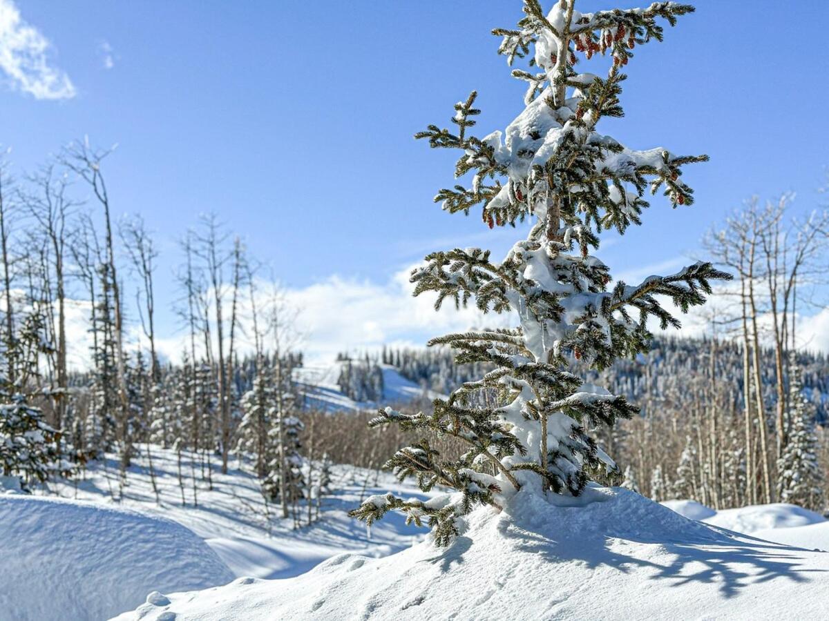 Eagle Roost Retreat By Ski Lifts Brian Head Εξωτερικό φωτογραφία